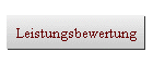Leistungsbewertung