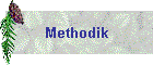 Methodik